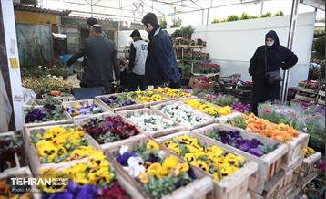 بازار گل شهید محلاتی در آخرین روزهاى سال 28