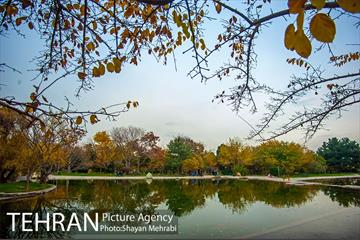 باغ گیاه‌شناسی ملی ایران 38