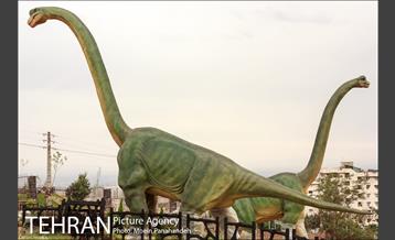 نگاه مینیمال به تهران 10