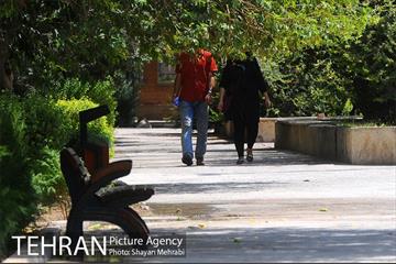 بوستان بسیج 46