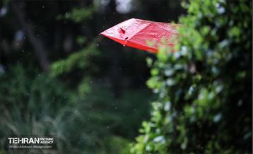 به وقت اردیبهشت؛ باغ ایرانی 27