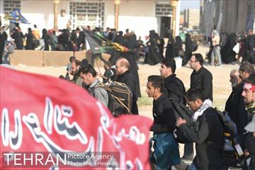 حضور دکتر قالیباف در پیاده‌روی اربعین، از نجف تا کربلا 9
