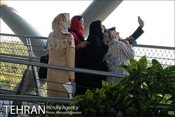 نمایشگاه “طبیعت تهران” بر روی پل طبیعت 24