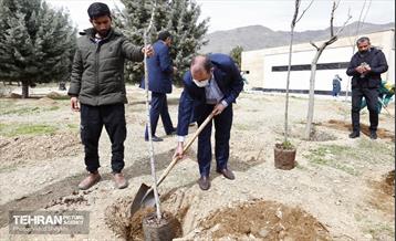 غرس ١٠٠ اصله نهال در دریاچه شهدای خلیج فارس با حضور خانواده شهدای هم محله‌ای 17