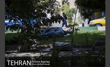 بلوار کشاورز 18