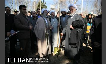 غرس نهال در بوستان بهاران 13