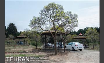 تعطیلات‌نوروزی در پارک‌ملی سرخه‌حصار‎ 10