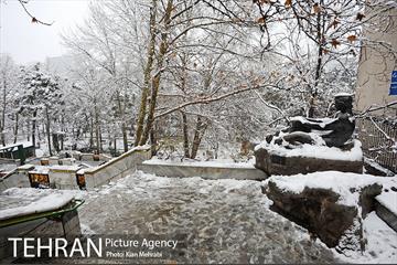 بارش برف زمستانی در تهران 6