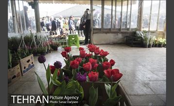 بازار گل شهید محلاتی 21