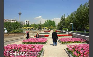 رویش گل های لاله در بوستان گفتگو 6