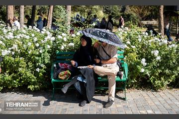رویداد فرهنگی،هنری «جشن باران» 12
