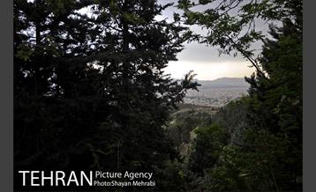 پارک جنگلی لویزان‎ 41