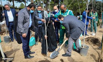 روز درختکاری با حضور مادران شهدا 9