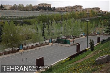 روز طبیعت در بوستان نهج البلاغه 25