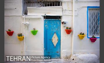 کوچه امیدی رنگ نوروز گرفت 1