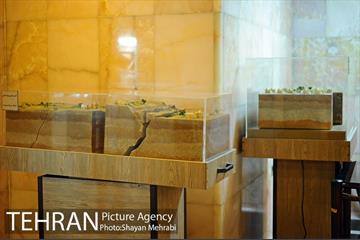 سازمان پیشگیری و مدیریت بحران شهر تهران 11