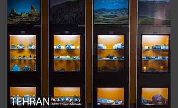 موزه علوم زمین 5