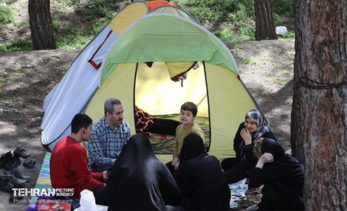 روز طبیعت در پارک جنگلی لویزان 8