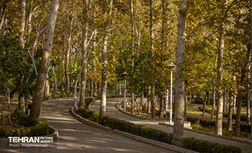 سمفونی رنگ های پاییزی - پارک لاله 33