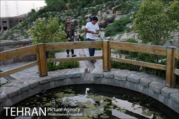 عصر تابستانی در بوستان آبشار تهران 5