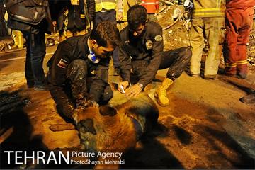 چهارمین روز آواربرداری ساختمان پلاسکو-3 3
