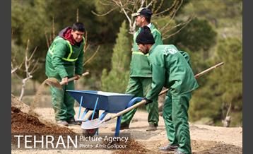 آیین کاشت درخت دانش در بوستان جنگلی چیتگر 26