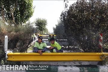 آتش سوزی در کارخانه رنگ  17