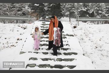 روز برفی تهران - 2 14