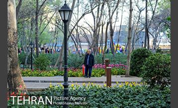 رویش گل های لاله در باغ ایرانی 51