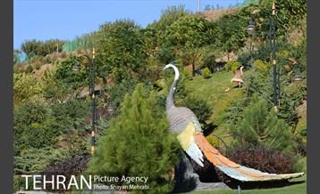 بوستان جوانمردان ایران 20