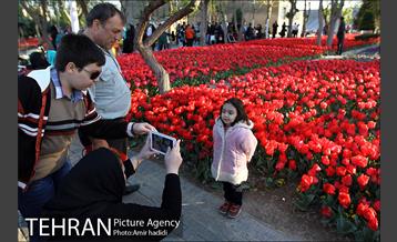 جشنواره لاله‌ها در بوستان زندگی محله هرندی 18