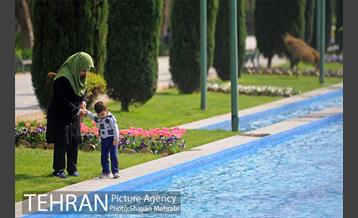 رویش گل های لاله در پارک شهر 3