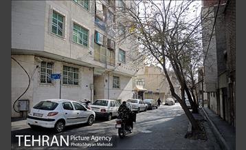 شهرنگار؛ محله بریانک 39