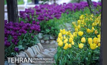 باغ ایراتی (بوستان مهندس مختاری) 5