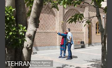 عمارت دبیرالملک 20