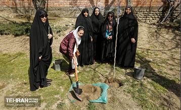 آیین درختکاری در منطقه‌5 4