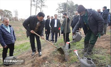 غرس 2000 نهال در بوستان جنگلی سرخه‌ حصار 8