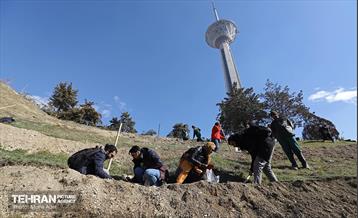 آیین کاشت گیاهان بومی پایتخت در برج میلاد 12