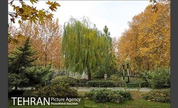 بوستان اندیشه(شهید منفرد نیاکی) 7