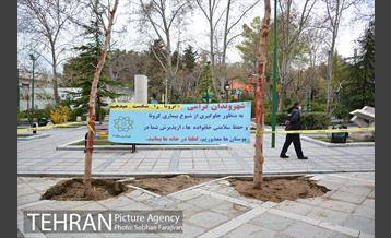 تعطیلی بوستان ها  29