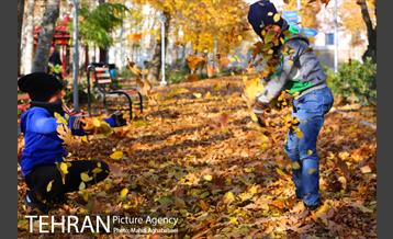 پاییز بوستان تمدن 11