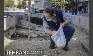 روز جهانی زمین پاک 13