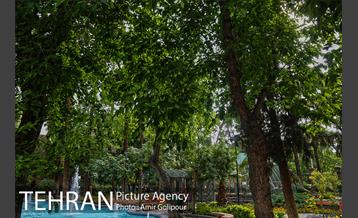 موزه هفت چنار 11