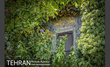 «ملک» ؛ عمارت رها شده 6