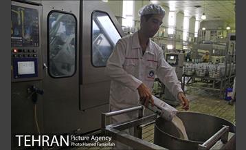 خط تولید شرکت صنایع شیر ایران 15