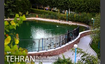 بوستان گفتگو‎ 26