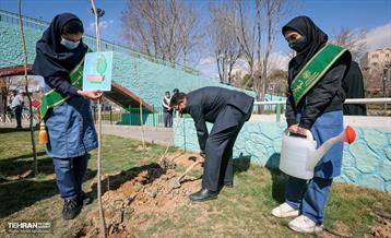 گرامیداشت سرو قامتان شهید سلامت در منطقه ۸