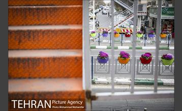 استقبال از بهار در خیابانهای تهران 17