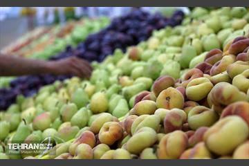 بازار میوه و تره‌بار مرواردید 6