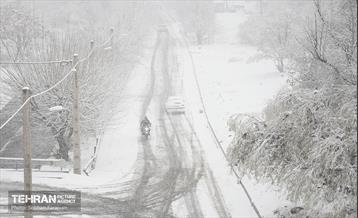 بارش اولین برف زمستانی در تهران 20